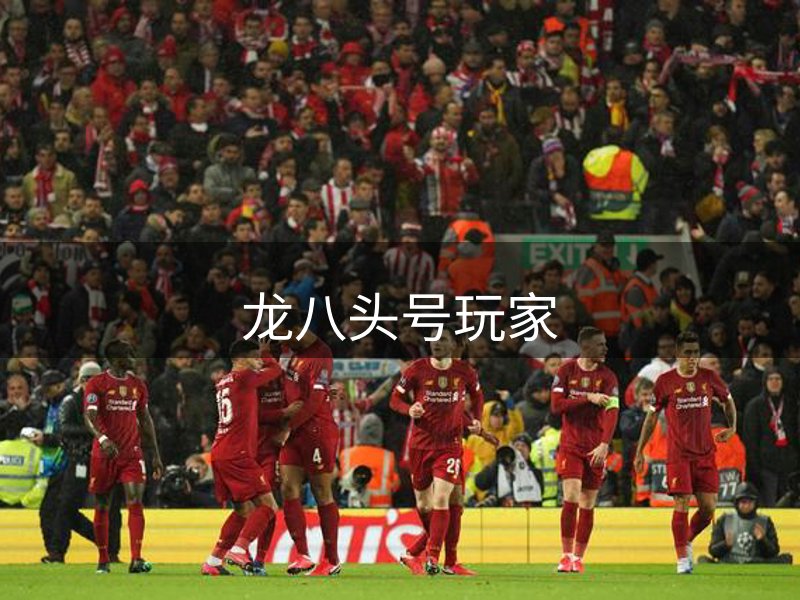了解我们